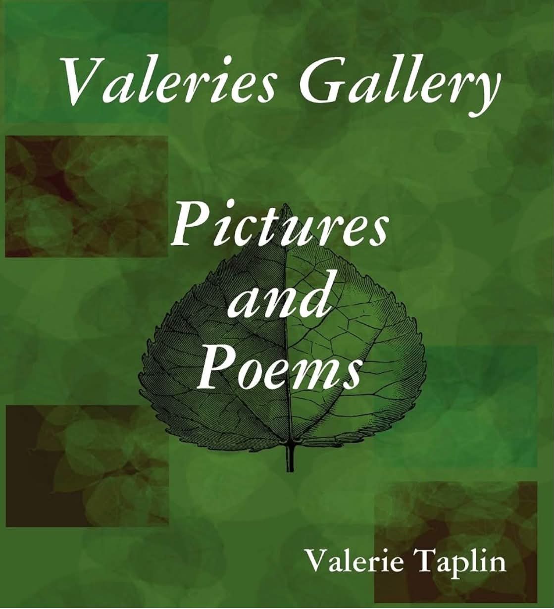 Front cover of Valeries Gallery: Pictures and Poems